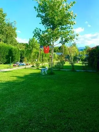 Sapanca Narlı Bahçe Bungalov - Dış Mekan