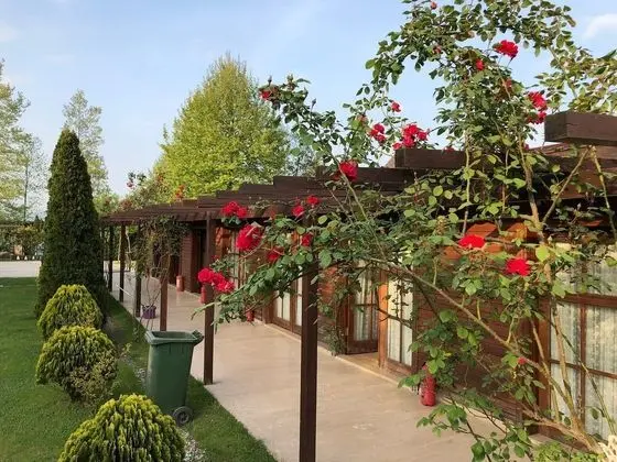 Sapanca Oğün Bungalov