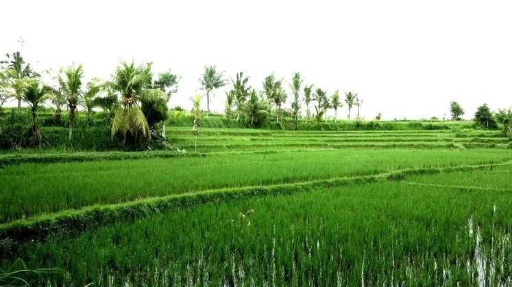 Sapulidi Resort Spa & Gallery Bali