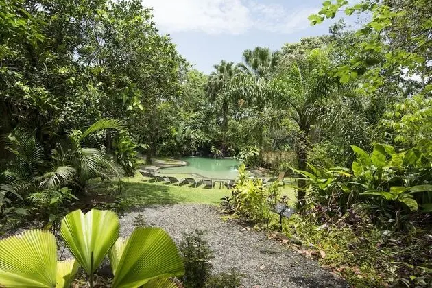 Sarapiquis Rainforest Lodge