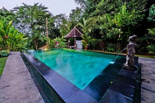Sari Bamboo Villas - Havuz