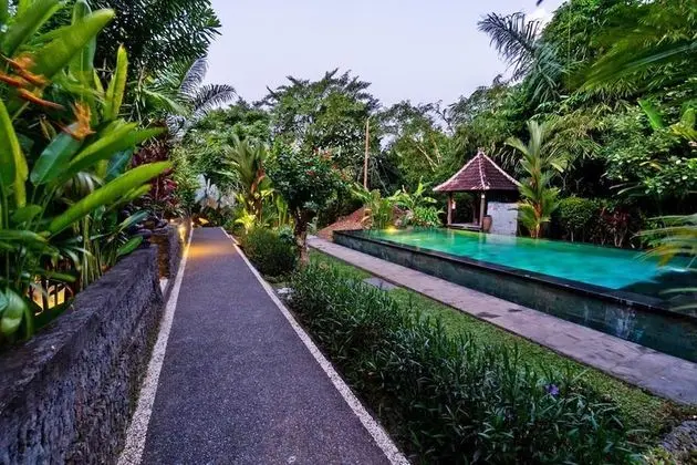Sari Bamboo Villas - Lobi
