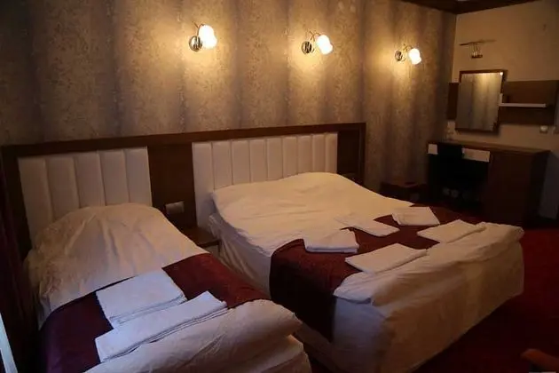 Sarıkamış Kar Otel - 8