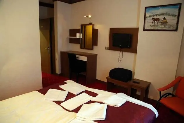 Sarıkamış Kar Otel - 9