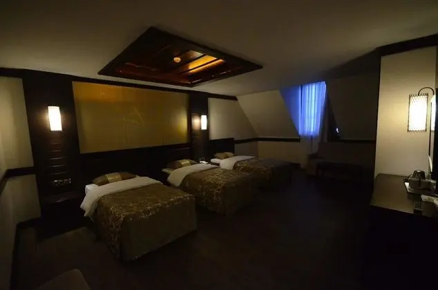 Sarıkamış White Park Hotel - 4