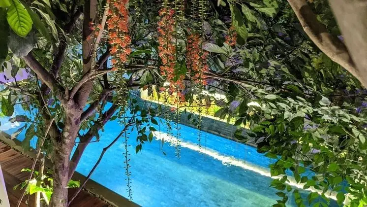Sarina Hotel & Villa - Öne Çıkan Resim