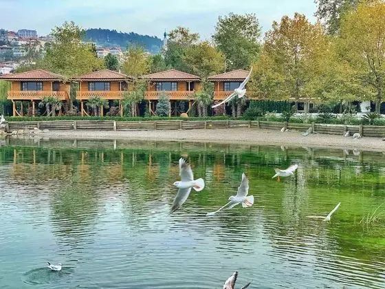 SASA Harmanlık