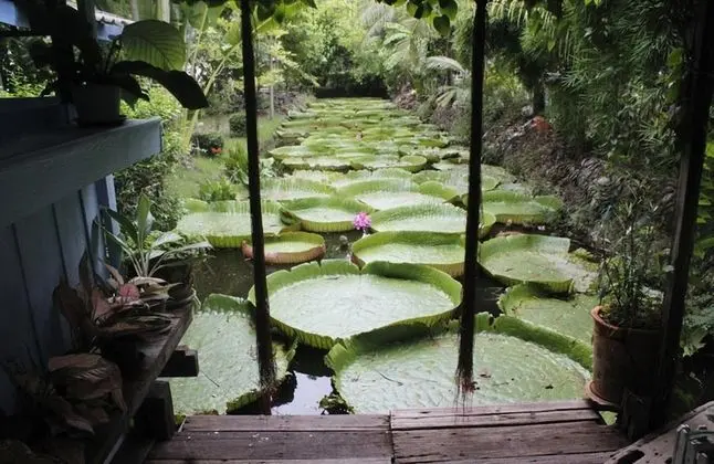 Sasi Nonthaburi Hotel - Dış Mekan