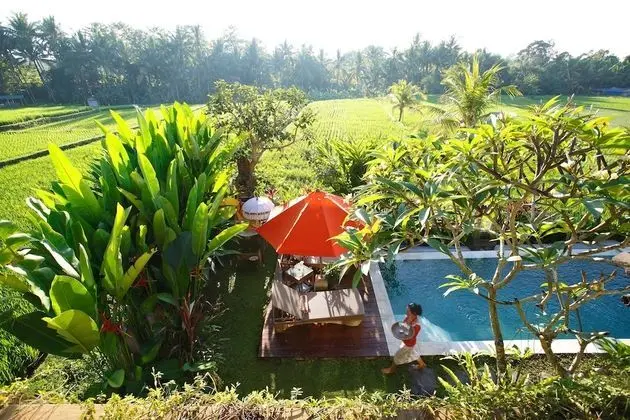 Satori Villas Bali - Havuz