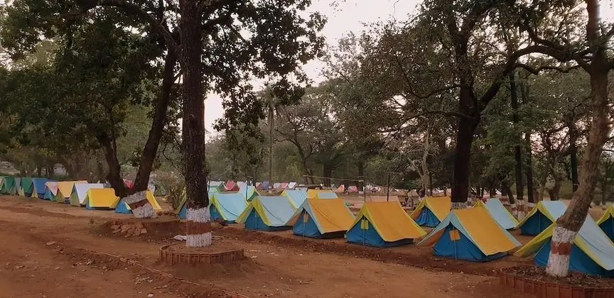 Satpura Adventure Resort & Camping - Havuz
