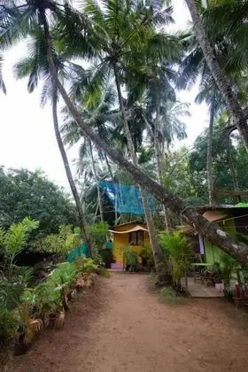 Saturn Beach Cottage
