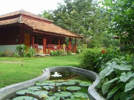 The Satwa Elephant Ecolodge - Öne Çıkan Resim
