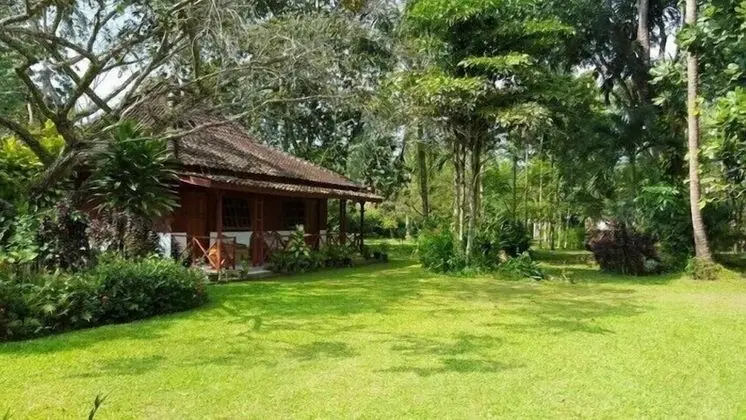 The Satwa Elephant Ecolodge - 1