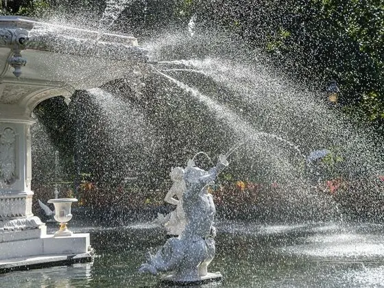 Savannah Suite Tea - Dış Mekan