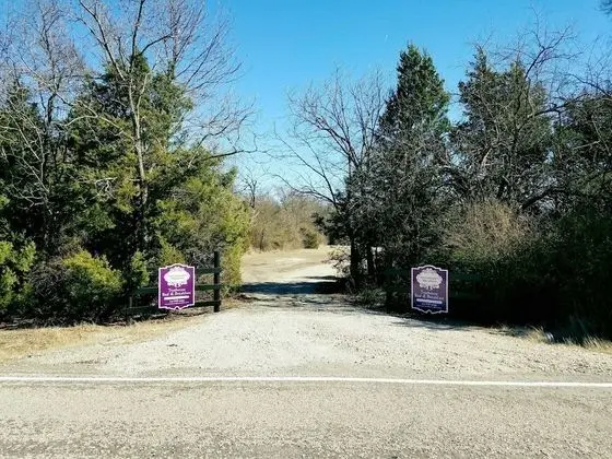 Savannah's Meadow