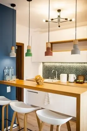 Savoy Apartment Cluj Napoca - Mutfak