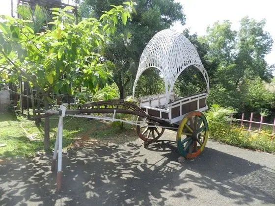 Hotel Sawai Mansing Hill Resort - Dış Mekan