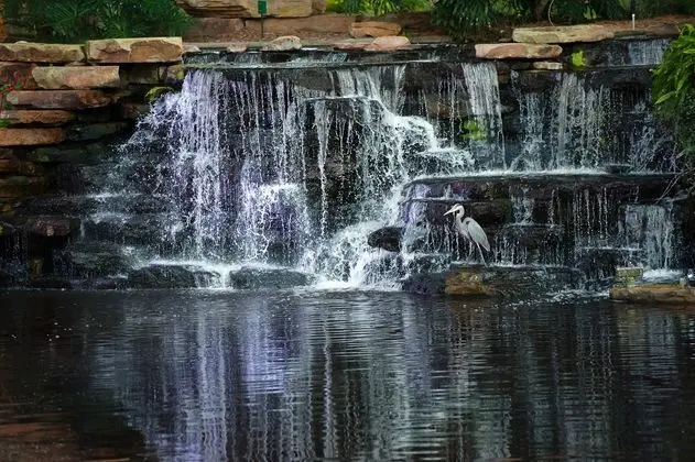 Sawgrass Marriott Golf Resort & Spa