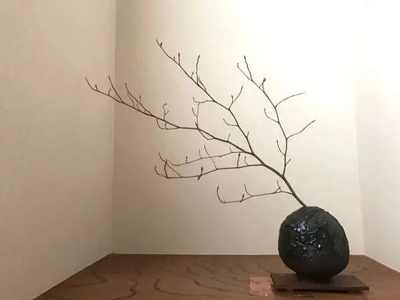 Sayama Aesthetics School - İç Mekan