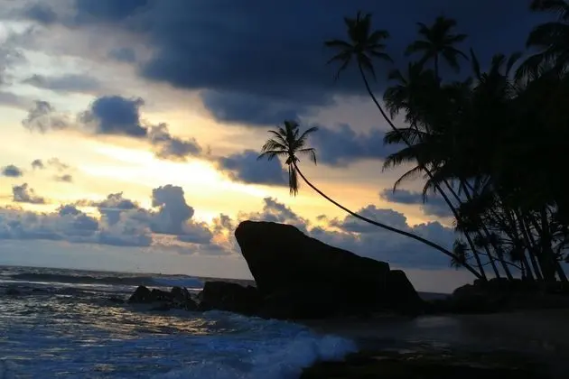 Sayura Beach Hotel - Plaj