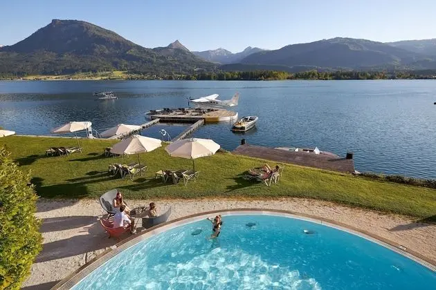 Scalaria Sunset Wing