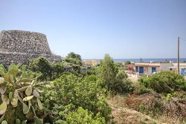 Scalelle