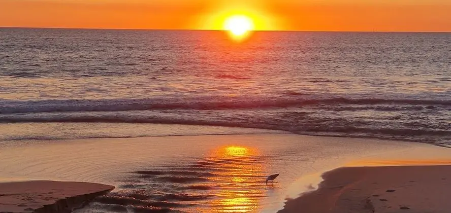 Scarborough Beach Front Resort - Shell 7 - Plaj