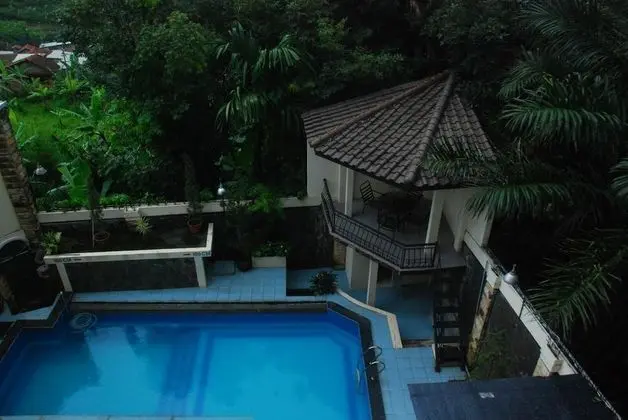 Scarlet Dago Bukit Pakar