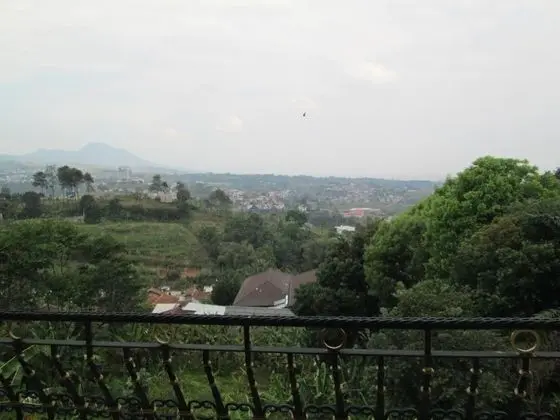 Scarlet Dago Bukit Pakar