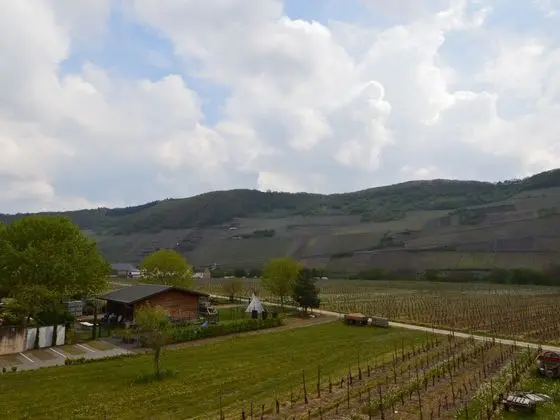 Scenic Apartment in Trittenheim With Garden - Genel