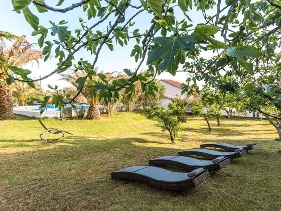 Scenic Holiday Home in Bibinje near Sea - Dış Mekan