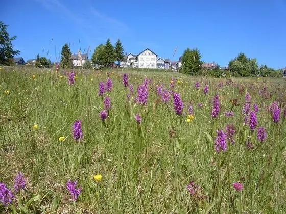 Hotel Schöne Aussicht - İlgi Noktası