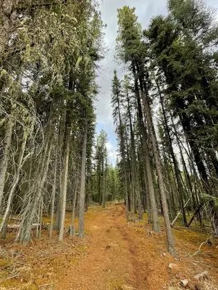 Schott's Lake RV & Guest Ranch - Dış Mekan