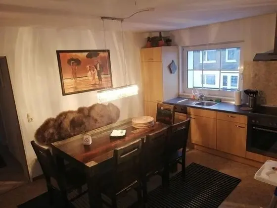 Schulinska Apartment - Mutfak