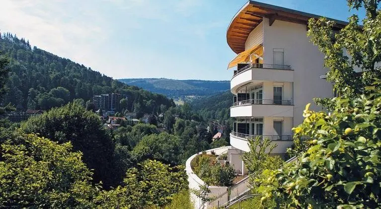 Schwarzwald Panorama - Genel