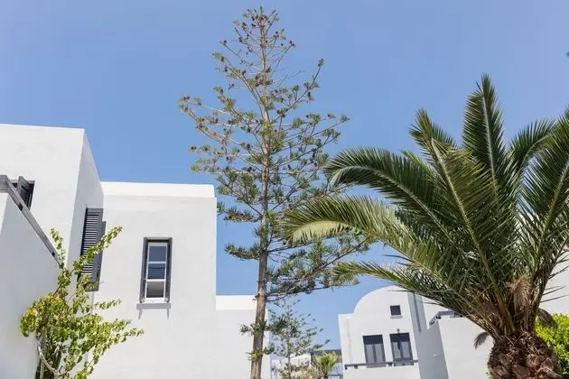 Scorpios Beach - Öne Çıkan Resim