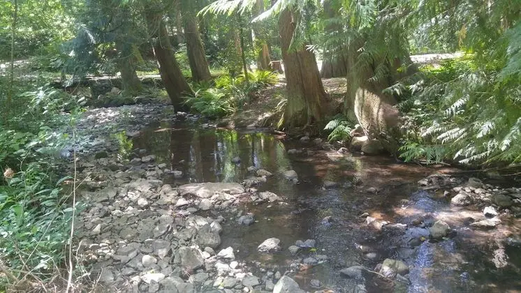Scott Creek Farm