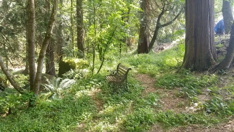 Scott Creek Farm - Dış Mekan