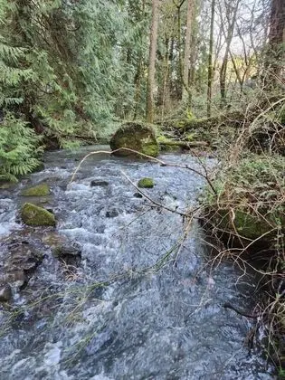 Scott Creek Farm - Dış Mekan