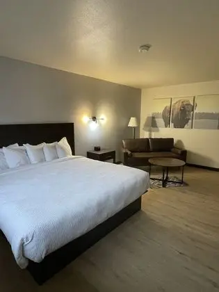 The Scout INN - Öne Çıkan Resim