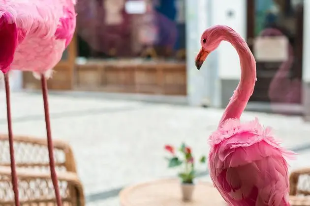 Se Boutique Hotel