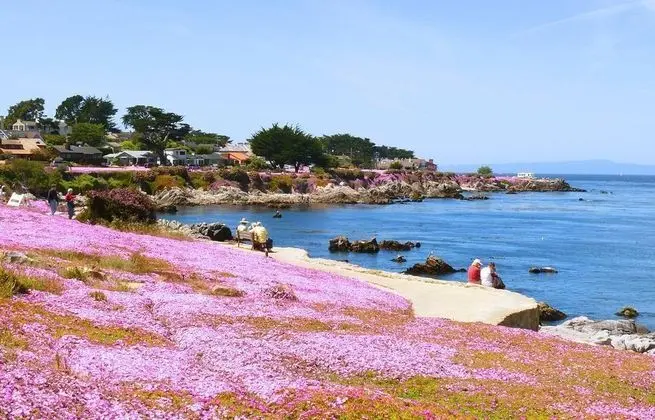 Sea Breeze Inn & Logde