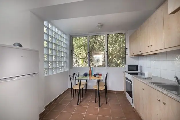 Sea front Athena Sounion Apartment - Mutfak