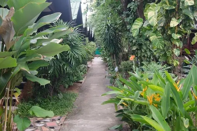 Sea Garden Hostels - İç Mekan