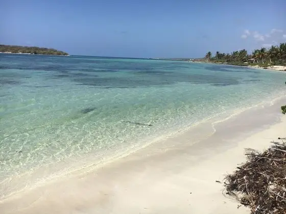 Sea Gate Hotel - Plaj