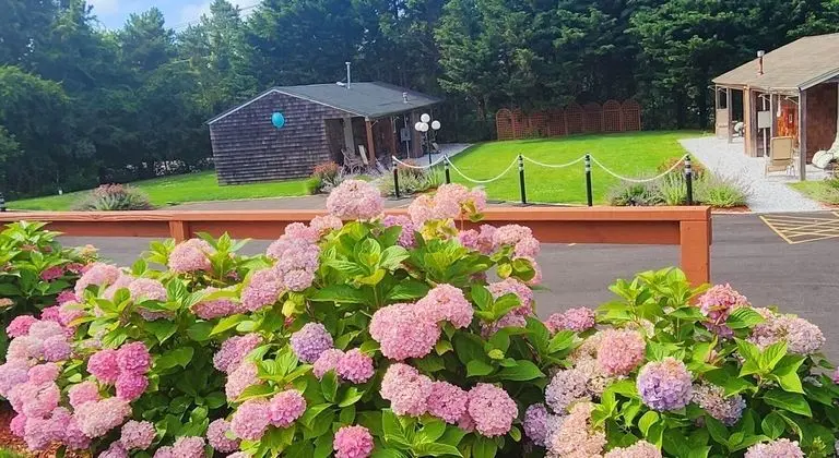 Sea Haven Resort Motel - Dış Mekan