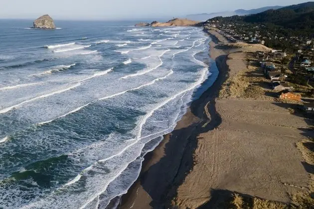 Sea Lion Crossing
