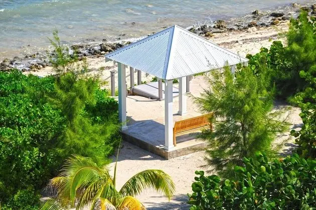 Sea Orchard Retreat