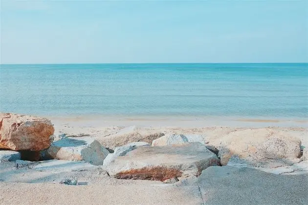 Sea Sand Trees - Plaj