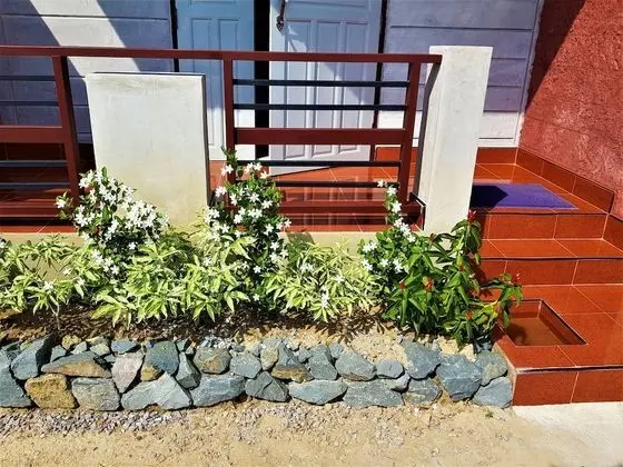Sea Smile Resort - Öne Çıkan Resim
